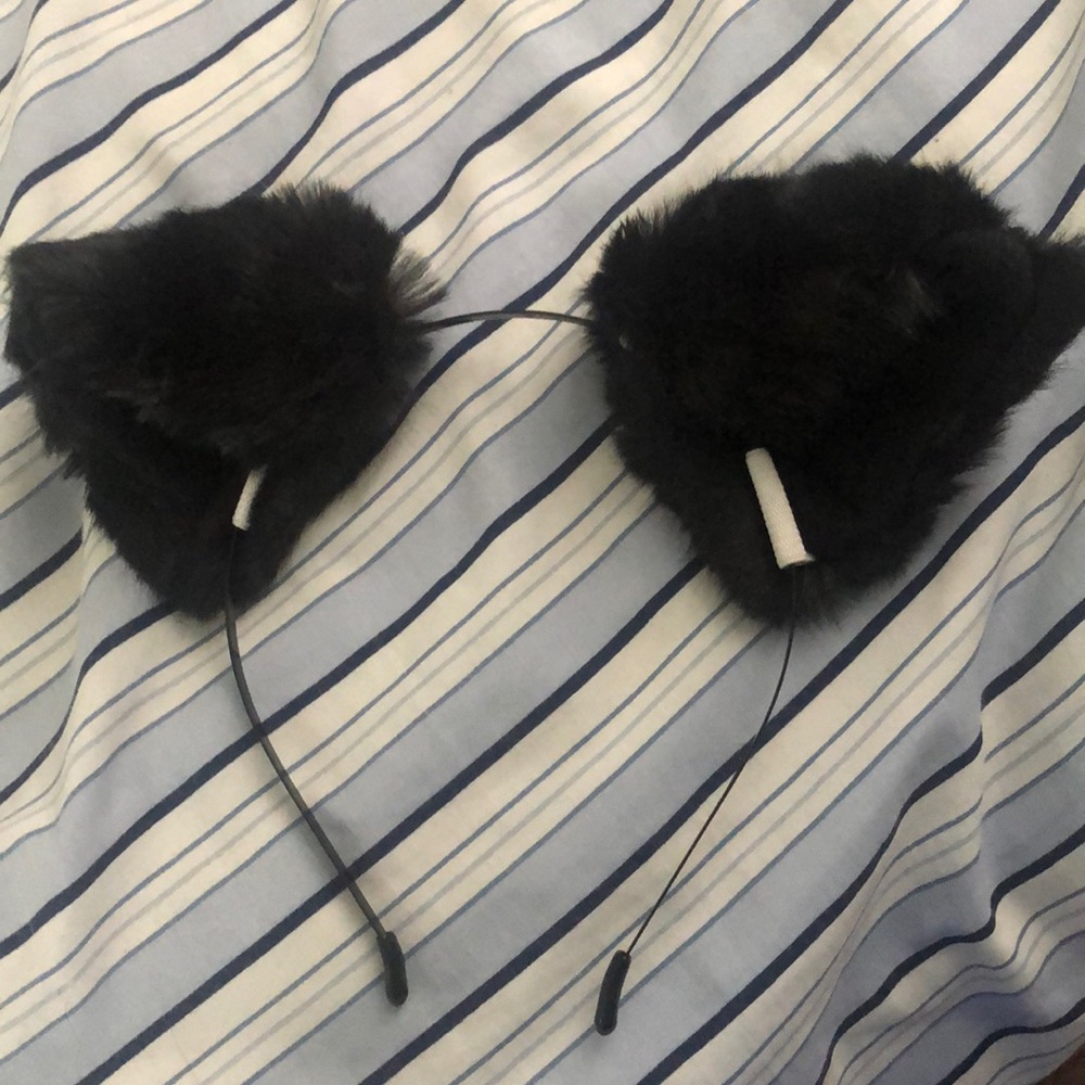 Black kitten ears